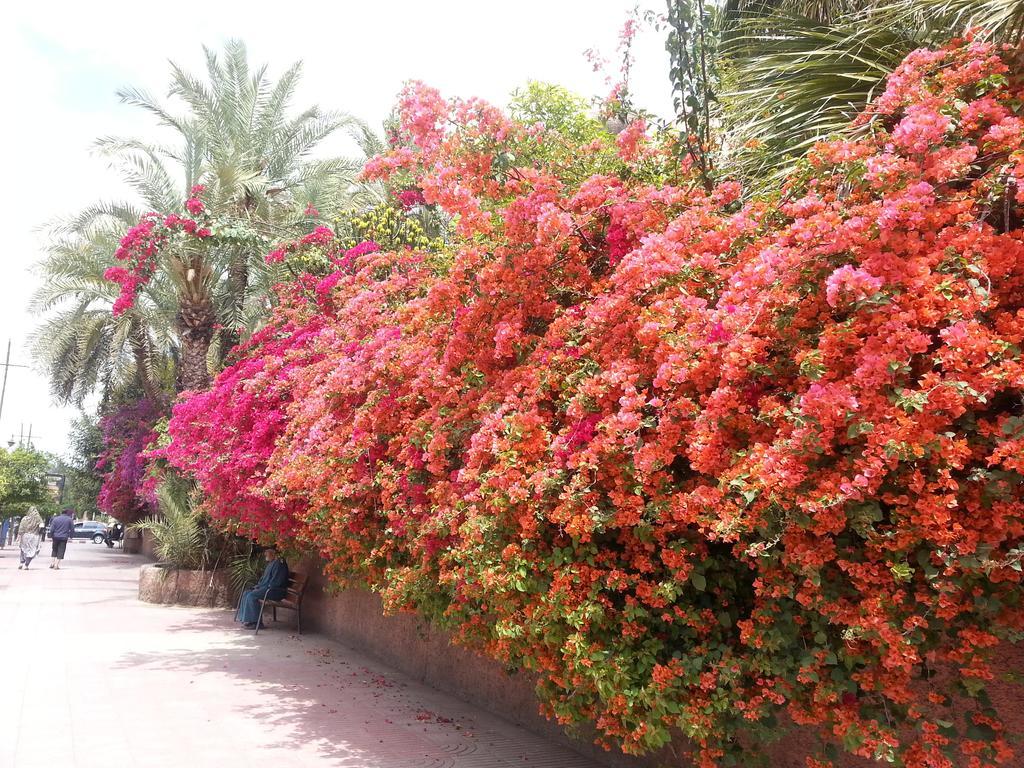 Riad Des Etoiles Marrakesh Luaran gambar